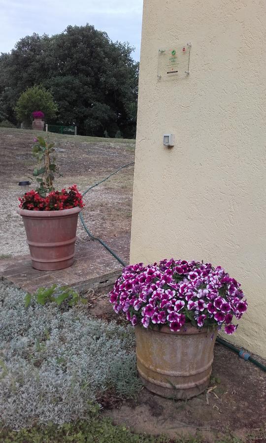 Poggio Dell'Olivo Villa Pitigliano Luaran gambar